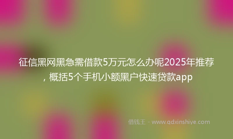 征信黑网黑急需借款5万元怎么办呢2025年推荐，概括5个手机小额黑户快速贷款app