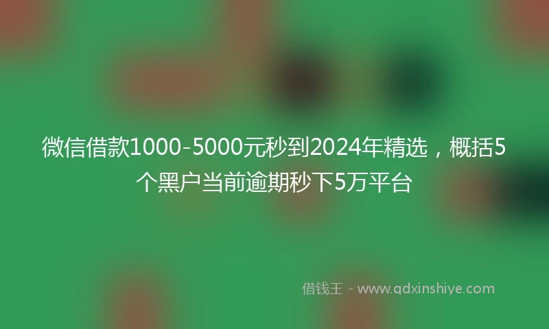 微信借款1000-5000元秒到2024年精选，概括5个黑户当前逾期秒下5万平台