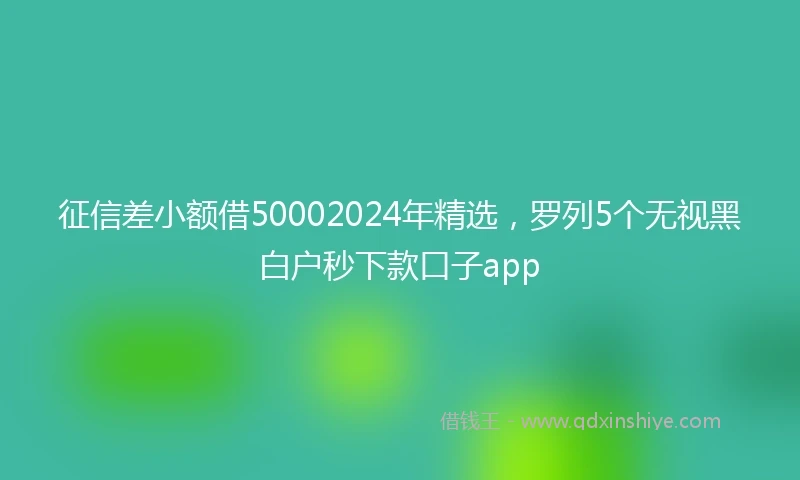 征信差小额借50002024年精选，罗列5个无视黑白户秒下款口子app