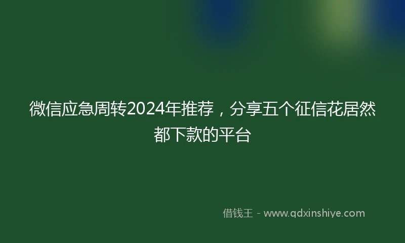 微信应急周转2024年推荐，分享五个征信花居然都下款的平台