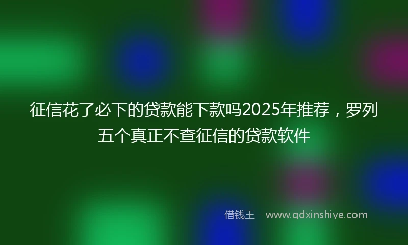 征信花了必下的贷款能下款吗2025年推荐，罗列五个真正不查征信的贷款软件