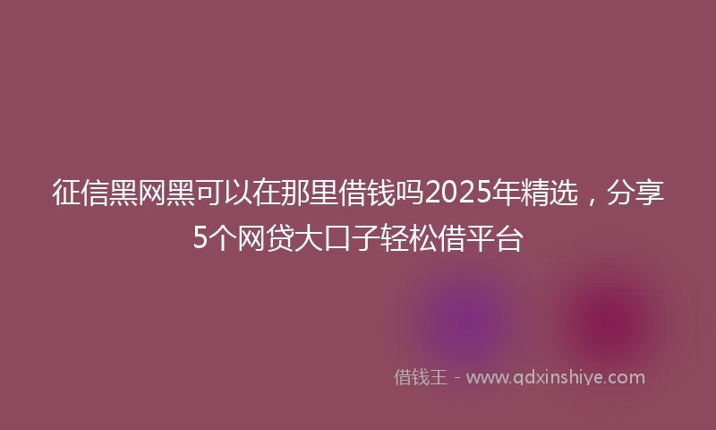 征信黑网黑可以在那里借钱吗2025年精选，分享5个网贷大口子轻松借平台