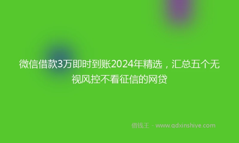 微信借款3万即时到账2024年精选，汇总五个无视风控不看征信的网贷