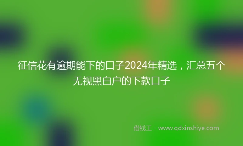 征信花有逾期能下的口子2024年精选，汇总五个无视黑白户的下款口子