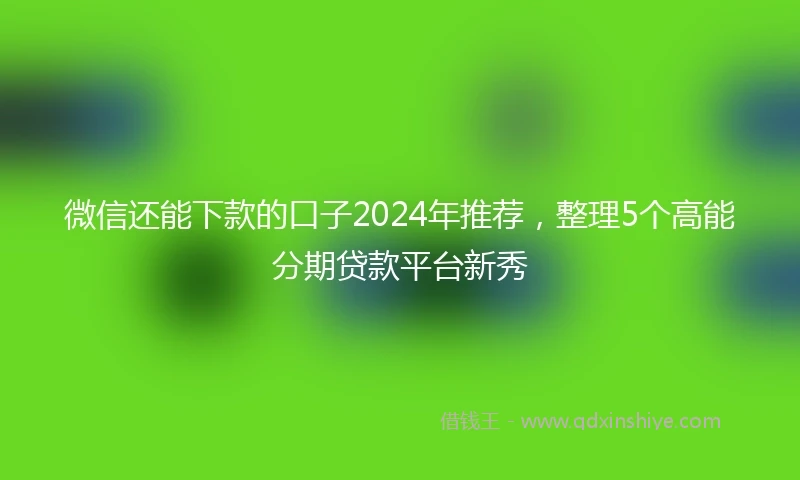 微信还能下款的口子2024年推荐，整理5个高能分期贷款平台新秀