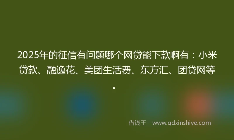 2025年的征信有问题哪个网贷能下款啊有：小米贷款、融逸花、美团生活费、东方汇、团贷网等。