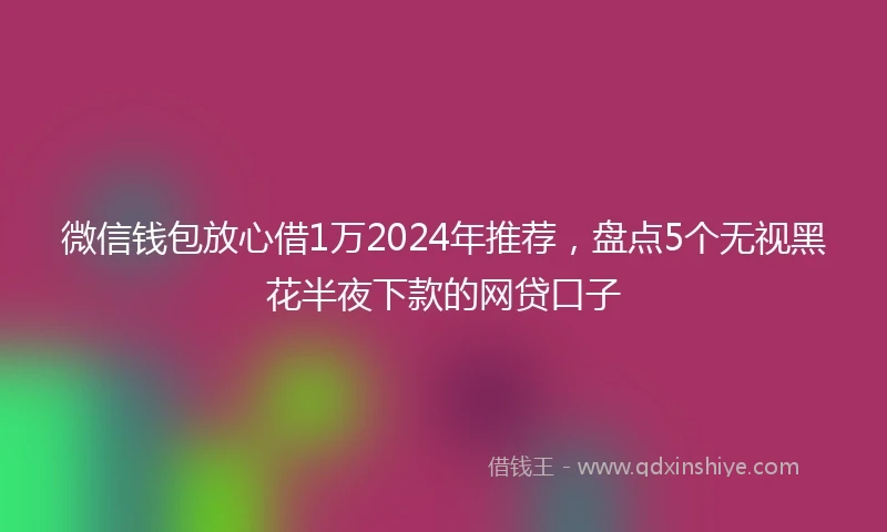 微信钱包放心借1万2024年推荐，盘点5个无视黑花半夜下款的网贷口子