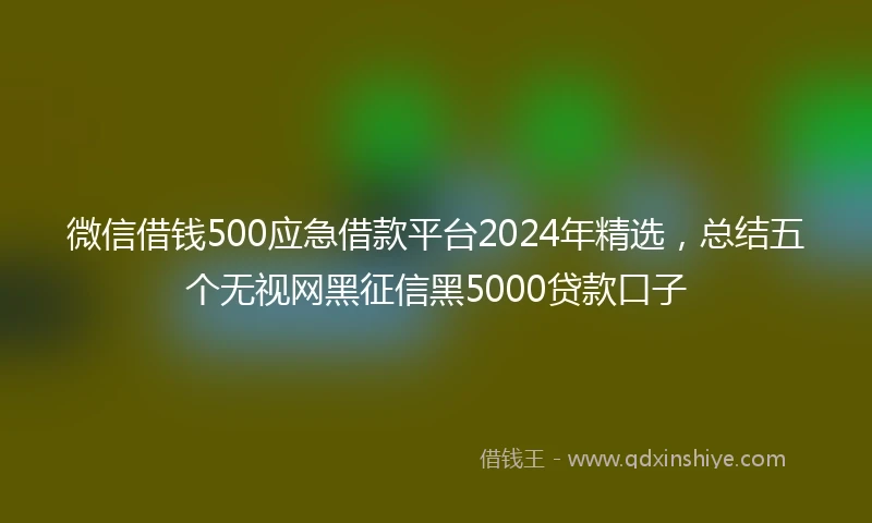 微信借钱500应急借款平台2024年精选，总结五个无视网黑征信黑5000贷款口子