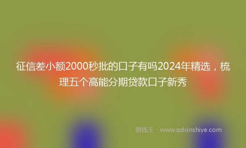 征信差小额2000秒批的口子有吗2024年精选，梳理五个高能分期贷款口子新秀