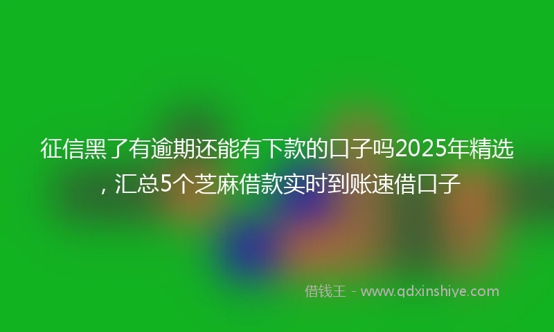 征信黑了有逾期还能有下款的口子吗2025年精选，汇总5个芝麻借款实时到账速借口子