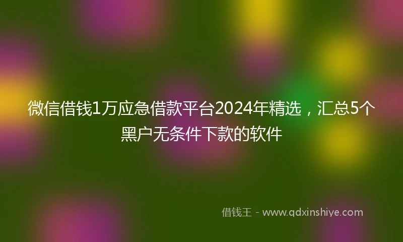 微信借钱1万应急借款平台2024年精选，汇总5个黑户无条件下款的软件