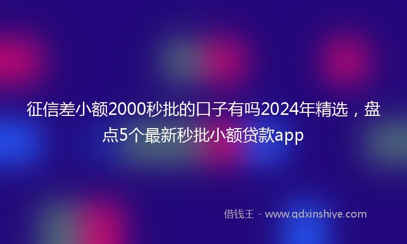 征信差小额2000秒批的口子有吗2024年精选，盘点5个最新秒批小额贷款app