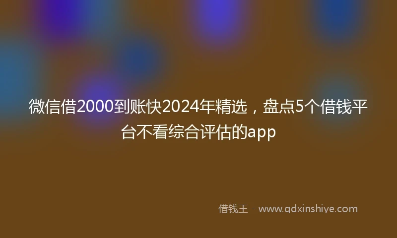 微信借2000到账快2024年精选，盘点5个借钱平台不看综合评估的app