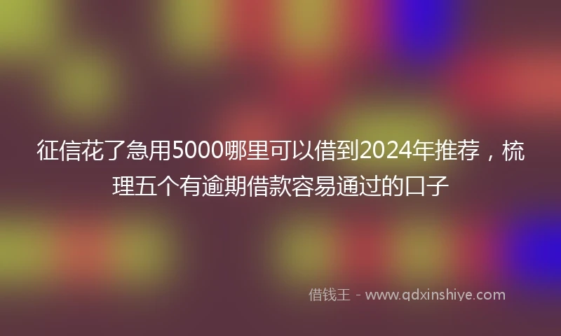 征信花了急用5000哪里可以借到2024年推荐，梳理五个有逾期借款容易通过的口子