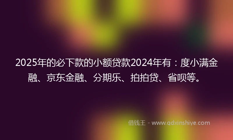 2025年的必下款的小额贷款2024年有：度小满金融、京东金融、分期乐、拍拍贷、省呗等。