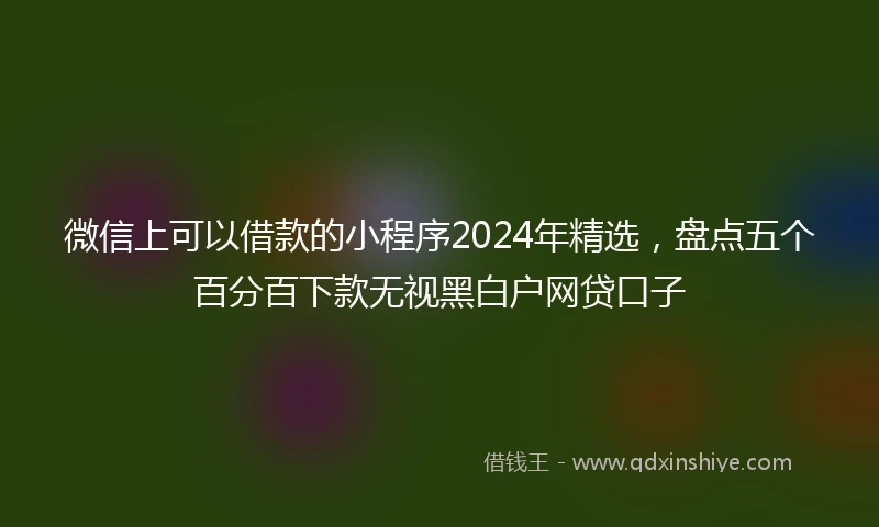 微信上可以借款的小程序2024年精选，盘点五个百分百下款无视黑白户网贷口子