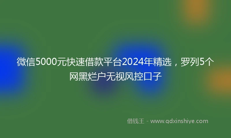 微信5000元快速借款平台2024年精选，罗列5个网黑烂户无视风控口子