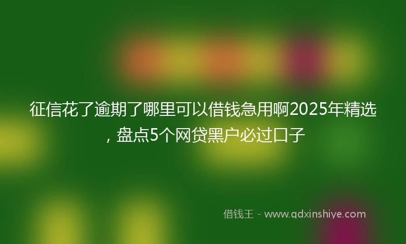 征信花了逾期了哪里可以借钱急用啊2025年精选，盘点5个网贷黑户必过口子