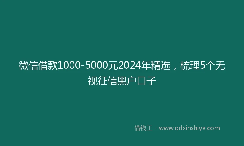 微信借款1000-5000元2024年精选，梳理5个无视征信黑户口子