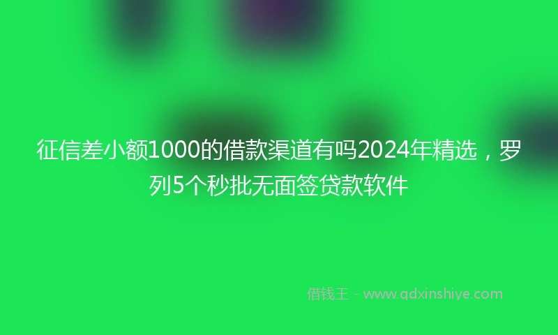 征信差小额1000的借款渠道有吗2024年精选，罗列5个秒批无面签贷款软件
