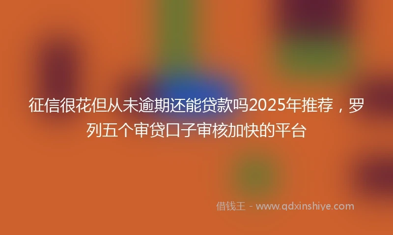 征信很花但从未逾期还能贷款吗2025年推荐，罗列五个审贷口子审核加快的平台