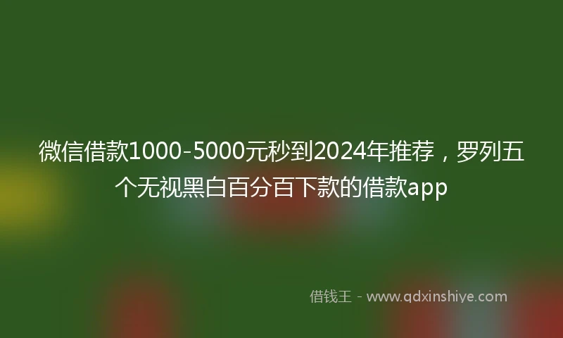 微信借款1000-5000元秒到2024年推荐，罗列五个无视黑白百分百下款的借款app