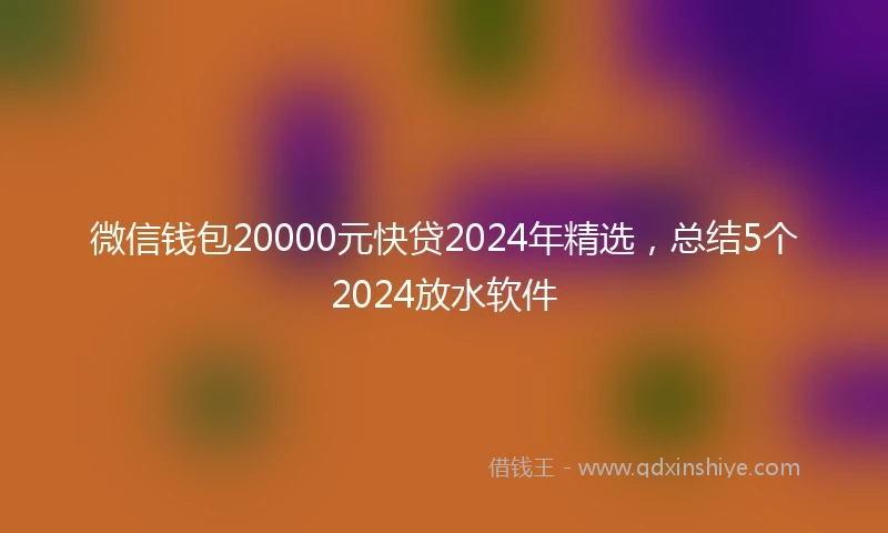 微信钱包20000元快贷2024年精选，总结5个2024放水软件
