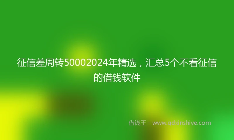 征信差周转50002024年精选，汇总5个不看征信的借钱软件