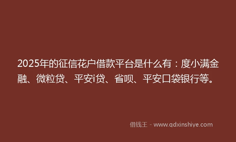 2025年的征信花户借款平台是什么有：度小满金融、微粒贷、平安i贷、省呗、平安口袋银行等。