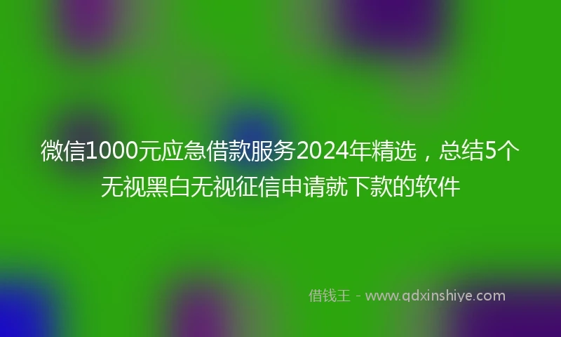 微信1000元应急借款服务2024年精选,总结5个无视黑白无视征信申请就下款的软件