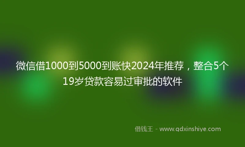 微信借1000到5000到账快2024年推荐，整合5个19岁贷款容易过审批的软件