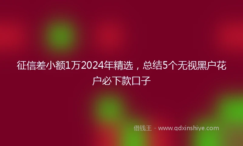 征信差小额1万2024年精选，总结5个无视黑户花户必下款口子