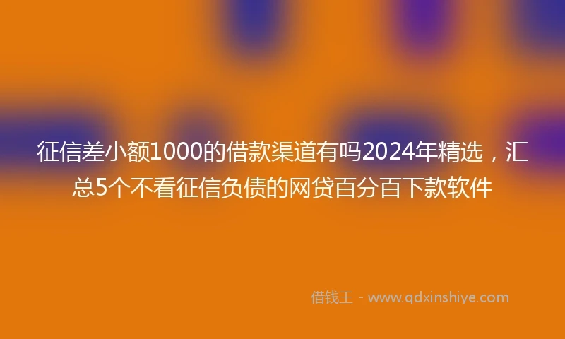 征信差小额1000的借款渠道有吗2024年精选，汇总5个不看征信负债的网贷百分百下款软件