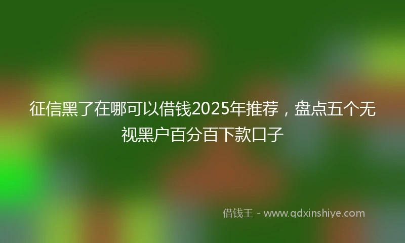 征信黑了在哪可以借钱2025年推荐，盘点五个无视黑户百分百下款口子