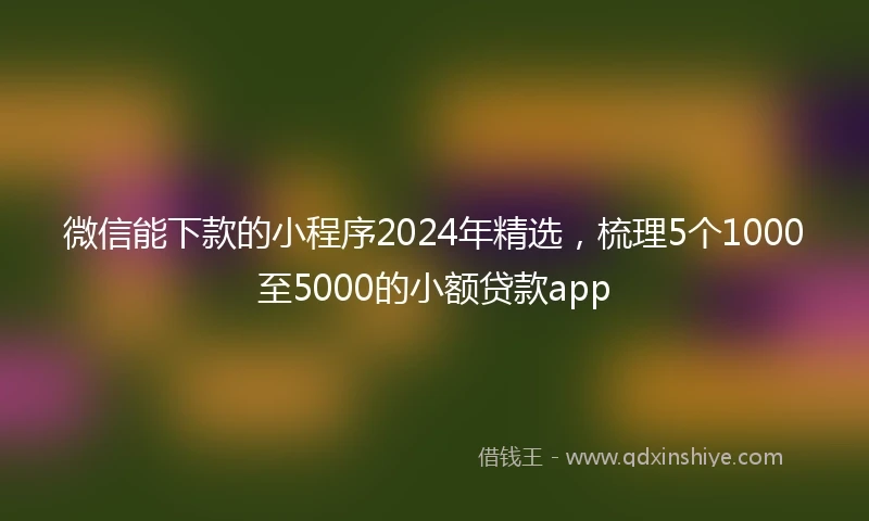 微信能下款的小程序2024年精选，梳理5个1000至5000的小额贷款app