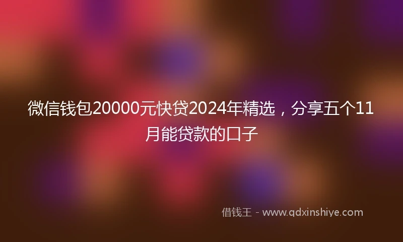 微信钱包20000元快贷2024年精选，分享五个11月能贷款的口子