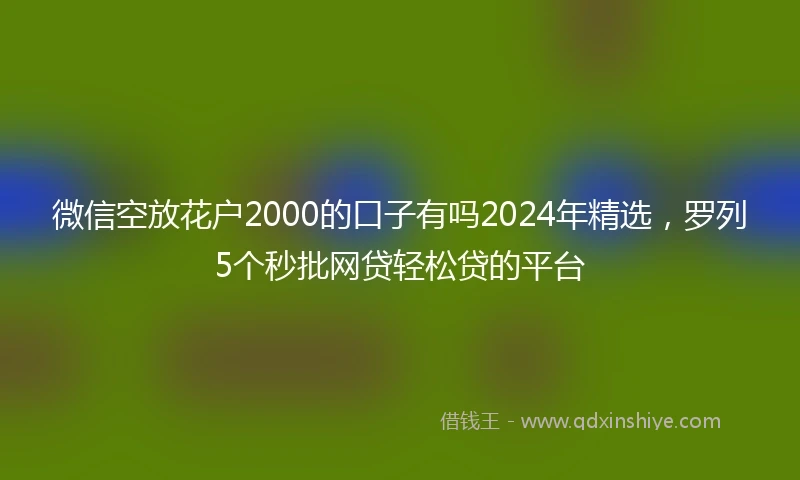 微信空放花户2000的口子有吗2024年精选，罗列5个秒批网贷轻松贷的平台