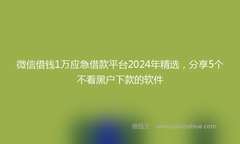 微信借钱1万应急借款平台2024年精选，分享5个不看黑户下款的软件