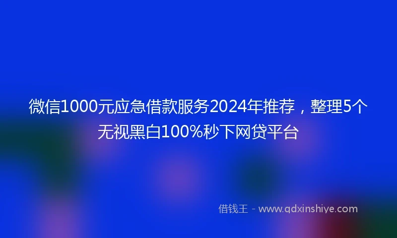 微信1000元应急借款服务2024年推荐，整理5个无视黑白100%秒下网贷平台