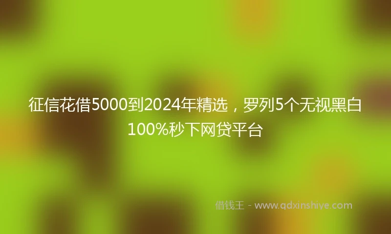 征信花借5000到2024年精选，罗列5个无视黑白100%秒下网贷平台