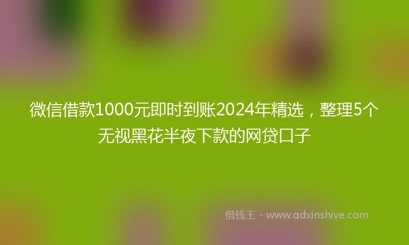 微信借款1000元即时到账2024年精选，整理5个无视黑花半夜下款的网贷口子