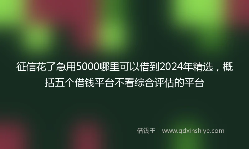 征信花了急用5000哪里可以借到2024年精选，概括五个借钱平台不看综合评估的平台