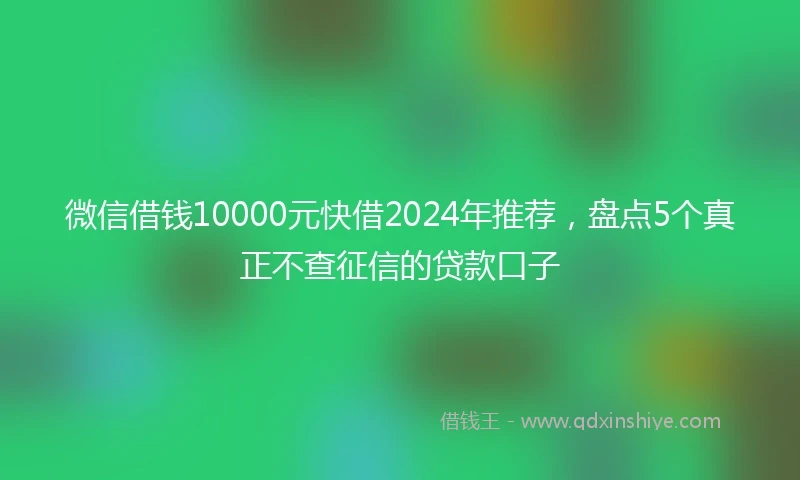 微信借钱10000元快借2024年推荐，盘点5个真正不查征信的贷款口子