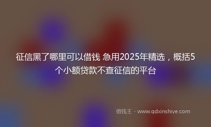 征信黑了哪里可以借钱 急用2025年精选，概括5个小额贷款不查征信的平台