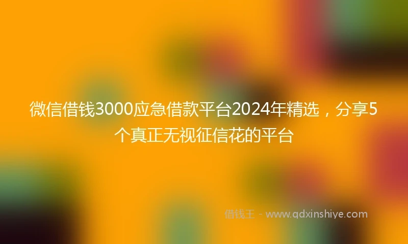 微信借钱3000应急借款平台2024年精选，分享5个真正无视征信花的平台