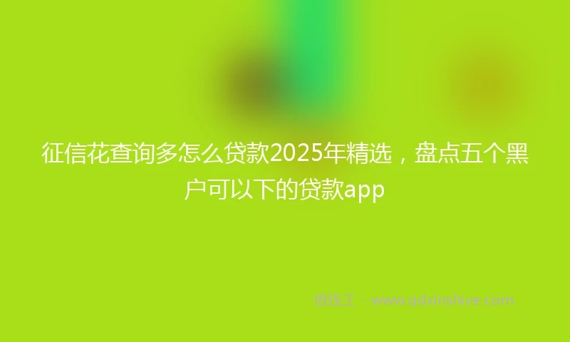征信花查询多怎么贷款2025年精选，盘点五个黑户可以下的贷款app