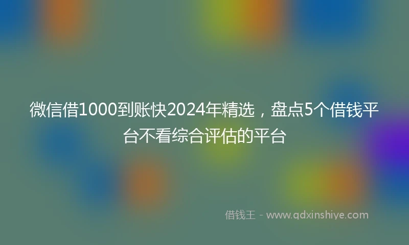 微信借1000到账快2024年精选，盘点5个借钱平台不看综合评估的平台