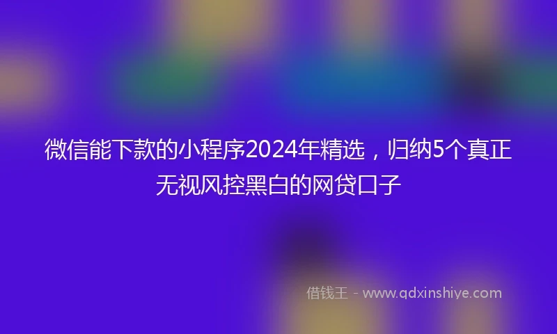 微信能下款的小程序2024年精选,归纳5个真正无视风控黑白的网贷口子