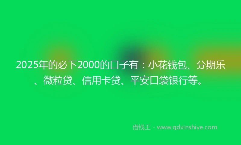 2025年的必下2000的口子有：小花钱包、分期乐、微粒贷、信用卡贷、平安口袋银行等。