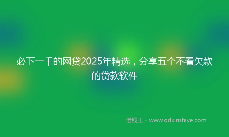 必下一千的网贷2025年精选，分享五个不看欠款的贷款软件